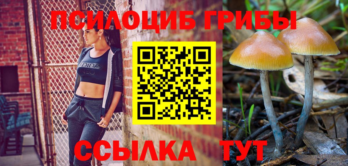 Псилоцибиновые грибы GOLDEN TEACHER Сибай