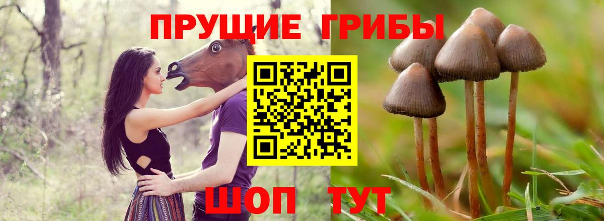 Сибай  продажа наркотиков  Вход с VPN  Псилоцибиновые грибы Magic Shrooms 